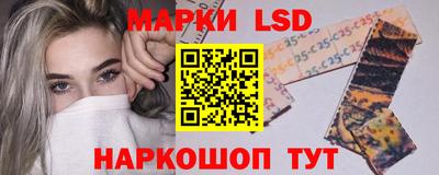 apvp Бердск