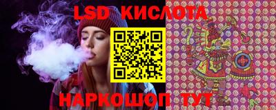 apvp Бердск