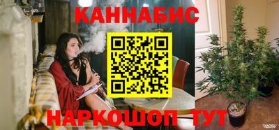 apvp Бердск