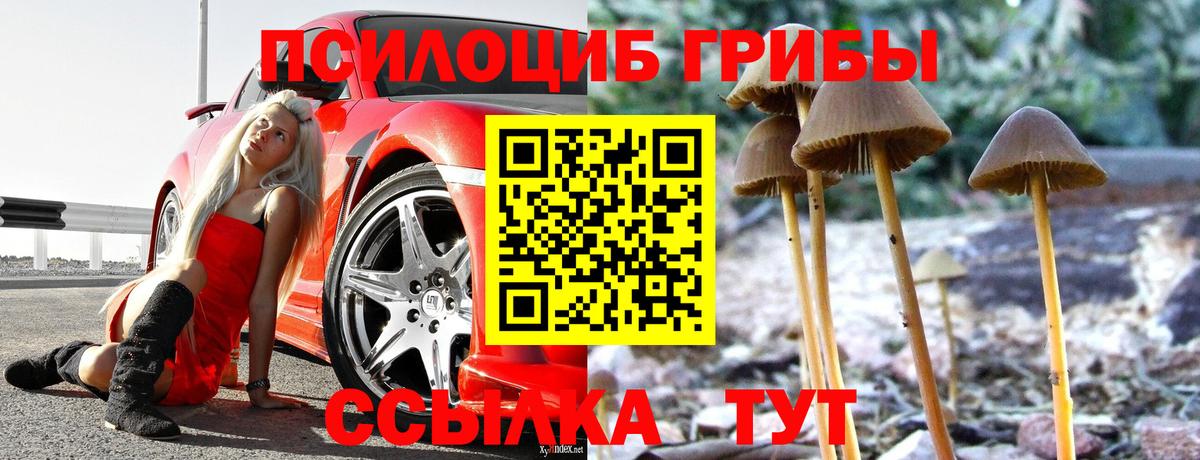 Полысаево  Галлюциногенные грибы Magic Shrooms  Вход с VPN 